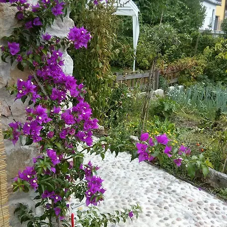 Bed & Breakfast Monica Brentonico